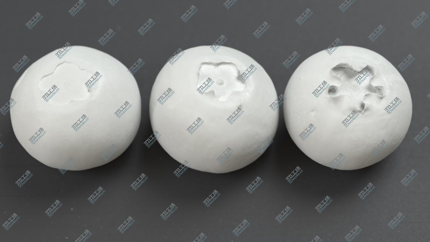 images/goods_img/20210319/blueberry 3D model/3.jpg